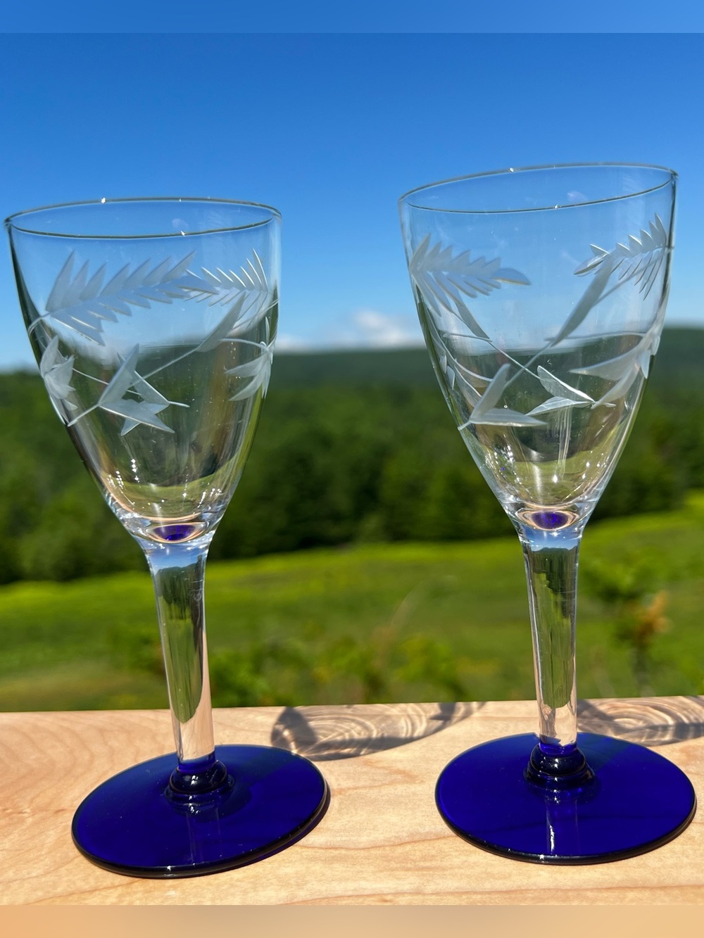 VTG 1930’s Louis Weston Etched Fern Cordial/Shot Glasses with Cobalt Base (2)